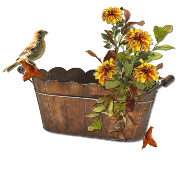 őszi állatok_188.png